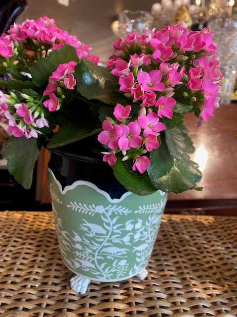 Scalloped  Footed Planter Cachepot