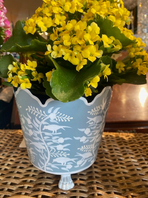 Scalloped  Footed Planter Cachepot